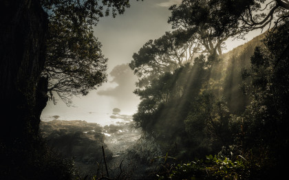 Coastal landscape Pete Rees