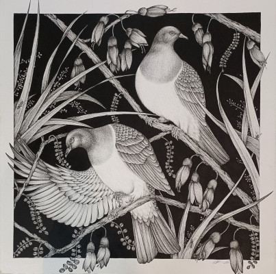 Rihari Warnock Kereru v2