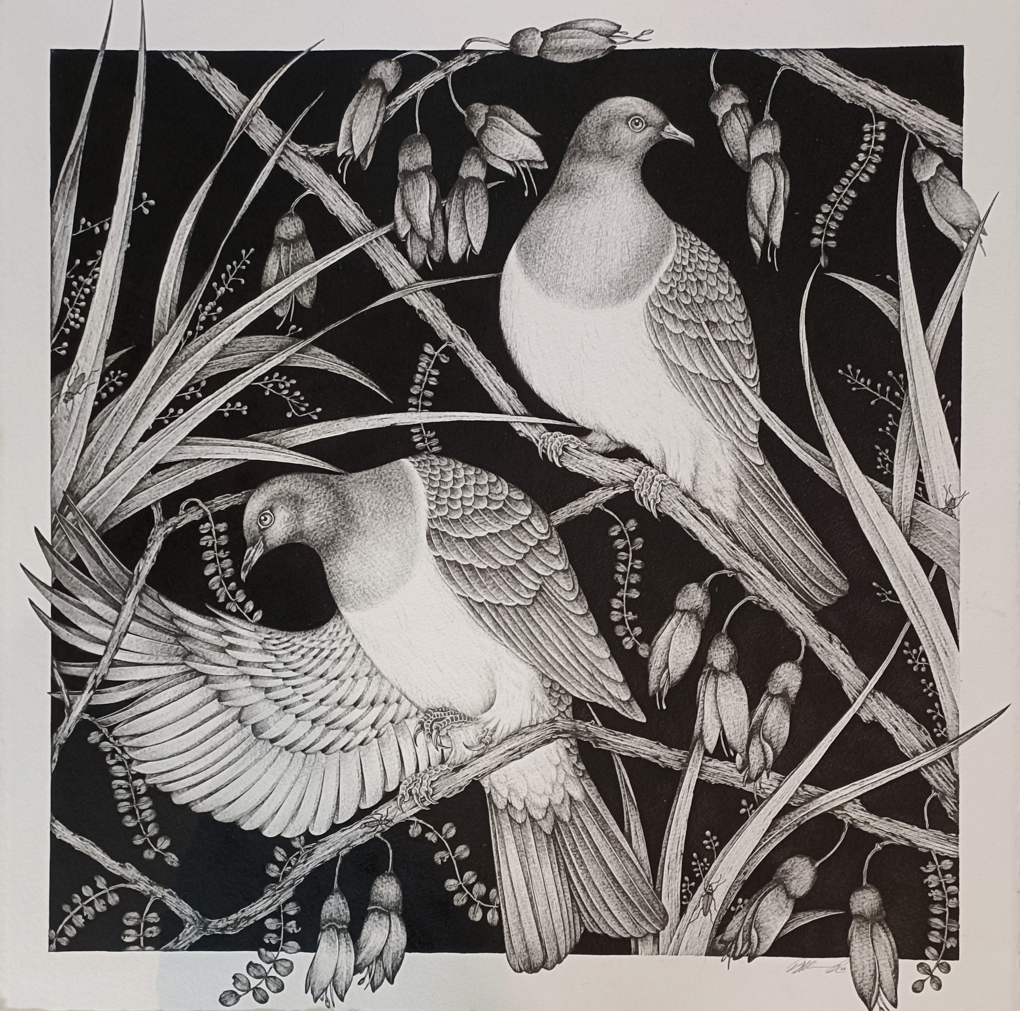 Rihari Warnock Kereru