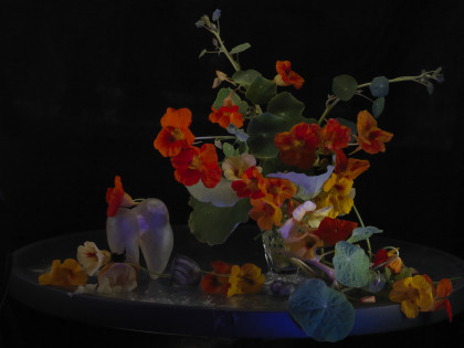 Fiona Pardington Still Life with Nasturtiums 2013 to 2014