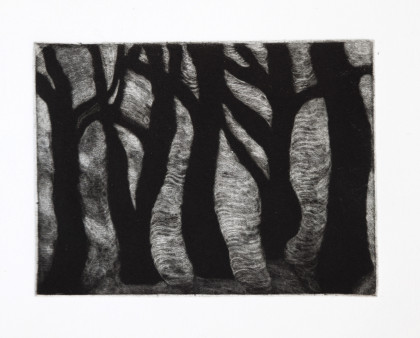 mezzotint forest heather