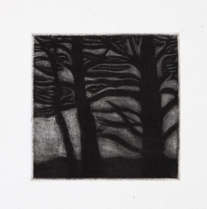 mezzotint tree sol heather