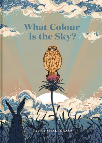 What Colour is the Sky Laura Shallcrass Beatnik FrontCover