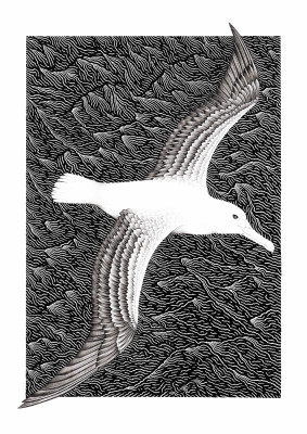 Silent at sea reduced
